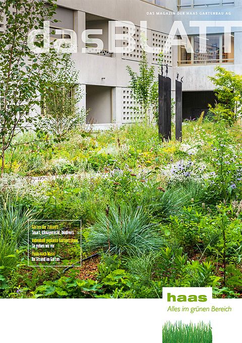 Aktuelle Ausgabe Nr. 19 lesen